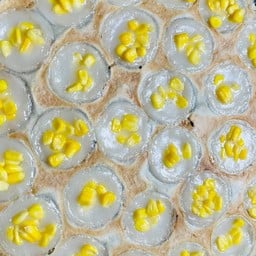 ข้าวโพด