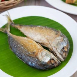 ปลาทูทอด