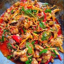 ผัดเผ็ดปลาไหล