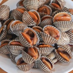 หอยแครงลวก