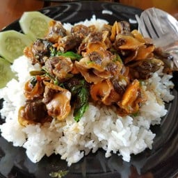เนื้อหอยแครงผัดกะเพราราดข้าว+ไข่ดาว