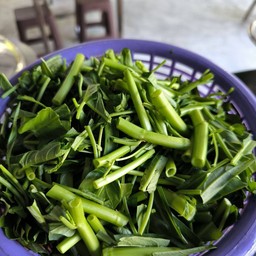 ผักบุ้งลวก