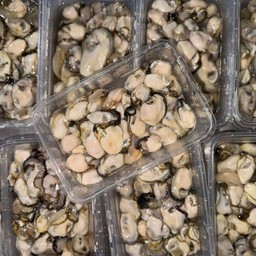 หอยนางรม