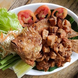 ครัวผู้ใหญ่หลอด ตำ ยำ แซ่บ