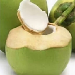Fresh real coconut