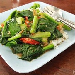 คะน้าน้ำมันหอย ราดข้าว