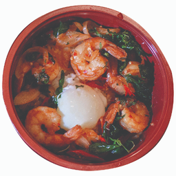 1031 กะเพรากุ้ง