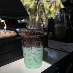 โกโก้มิ้นท์