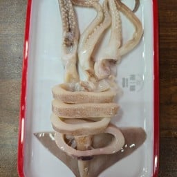 ปลาหมึกอาเจน