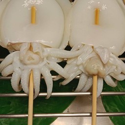 หมึกกระดอง.