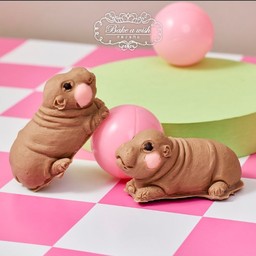 หมูเด้งไวท์ช็อกโกแล็ตดูไบ