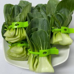 ผักฮ่องเต้