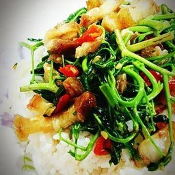 ผัดผัก ราดข้าว