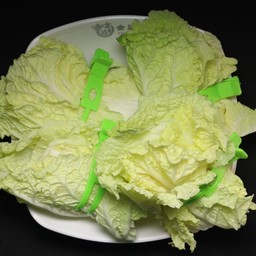 ผักกาดขาว