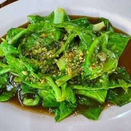 ผัดแขนงน้ำมันหอย