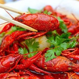 กุ้งมังกรสไปซี่口味小龙虾
