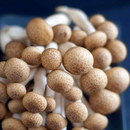 เห็ด ชิเมจิ หมูสับ = ผัดตามสั่ง