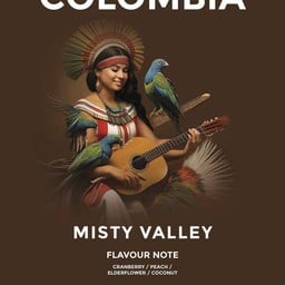 Colombia Misty Valley