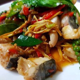ผัดฉ่าปลาแม่น้ำ ปลาคัง