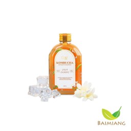 Dose Kombucha ชาอู่หลงก้านสีทอง 200 ml