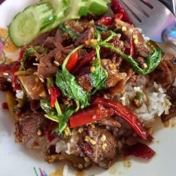 เจ๊เปิ้ล ก๋วยเตี๋ยวเนื้อเปื่อย-อาหารตามสั่ง -