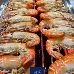 กุ้งเผาเรามีฟาร์ม🦐