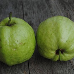 MENU_3014496fC_1732342694