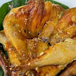 ไก่เพื่อนแพรว โครงการซิตี้เซ็นทรัล อยุธยา
