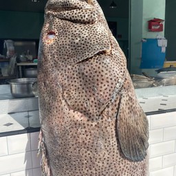 ต้มยำปลาเก๋าน้ำใส 冬蔭功石斑魚清湯