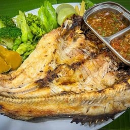 ปลากดย่าง