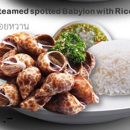 No_26 Steamed Spotted Babylon หอยหวานลวกจิ้ม