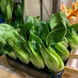 ผักกาดฮองเต้