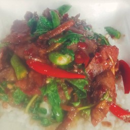 ผัดป่าเนื้อราดข้าว