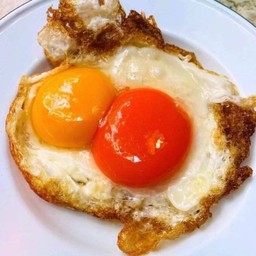 ไข่สองแคว