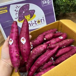 มันหวานญี่ปุ่นแท้ ชิโทริ 1kg