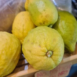 Lemon kg 150