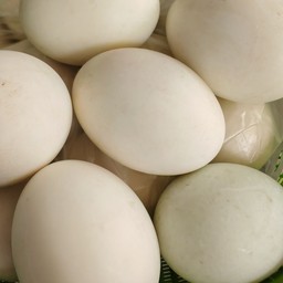 ไข่เค็ม (พร้อมทาน)