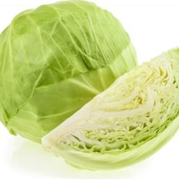 กะหล่ำปลี