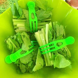 ผักตั้งโอ๋