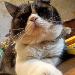 ทิป แม่ครัว