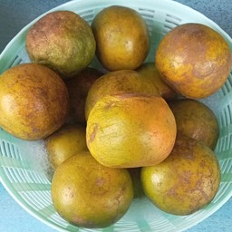 ส้มสดปั่น