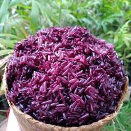 ข้าวเหนียว ดำ