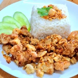 ข้าวไก่กรอบพริกเกลือกากหมู