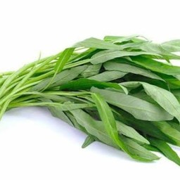 ผักบุ้ง