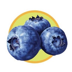 บลูเบอร์รี่