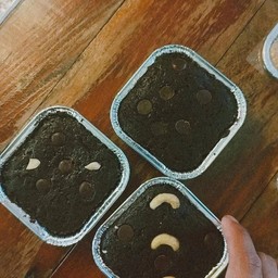 Homemade Brownies - บราวนี่ (คละหน้า)