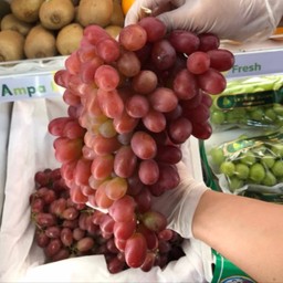 องุ่นแดง