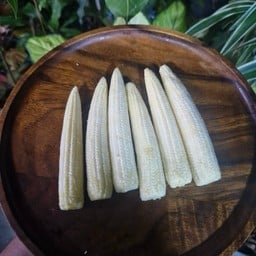 ข้าวโพดอ่อน