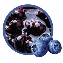 ซอสบลูเบอร์รี่