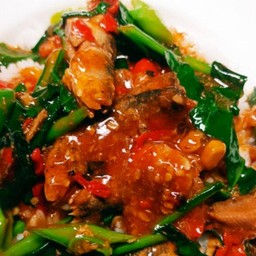 คะน้าปลากระป๋อง